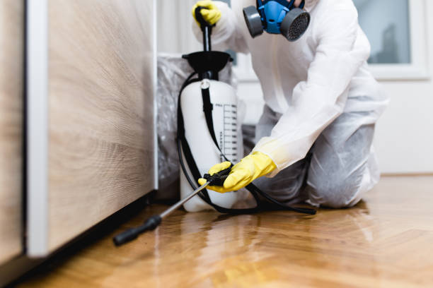 Best Best Pest Control Companies  in Newton, AL