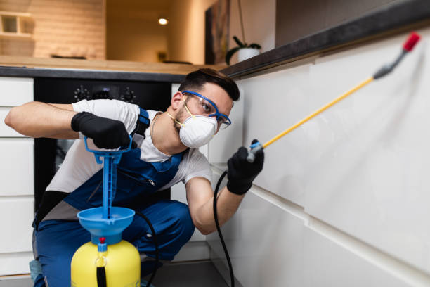 Best Termite Control Services  in Newton, AL