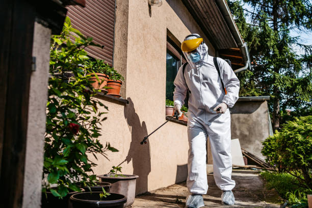 Best Emergency Pest Control  in Newton, AL