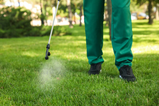 Trusted Newton, AL Pest Control Experts