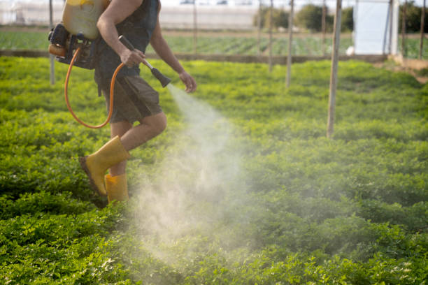 Best Local Pest Control Services  in Newton, AL