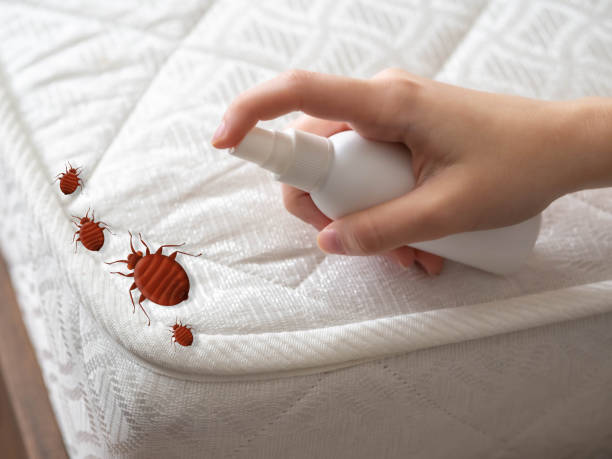 Best Flea Control Services  in Newton, AL