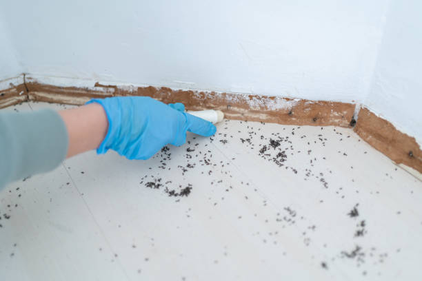Best Cockroach Control Services  in Newton, AL