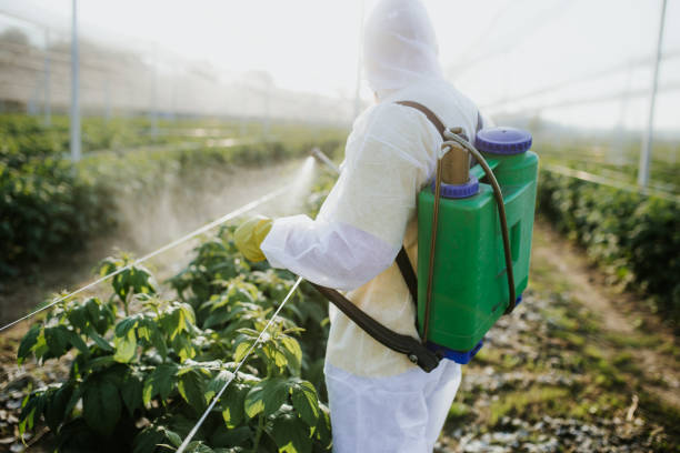 Best Best Pest Control Companies  in Newton, AL
